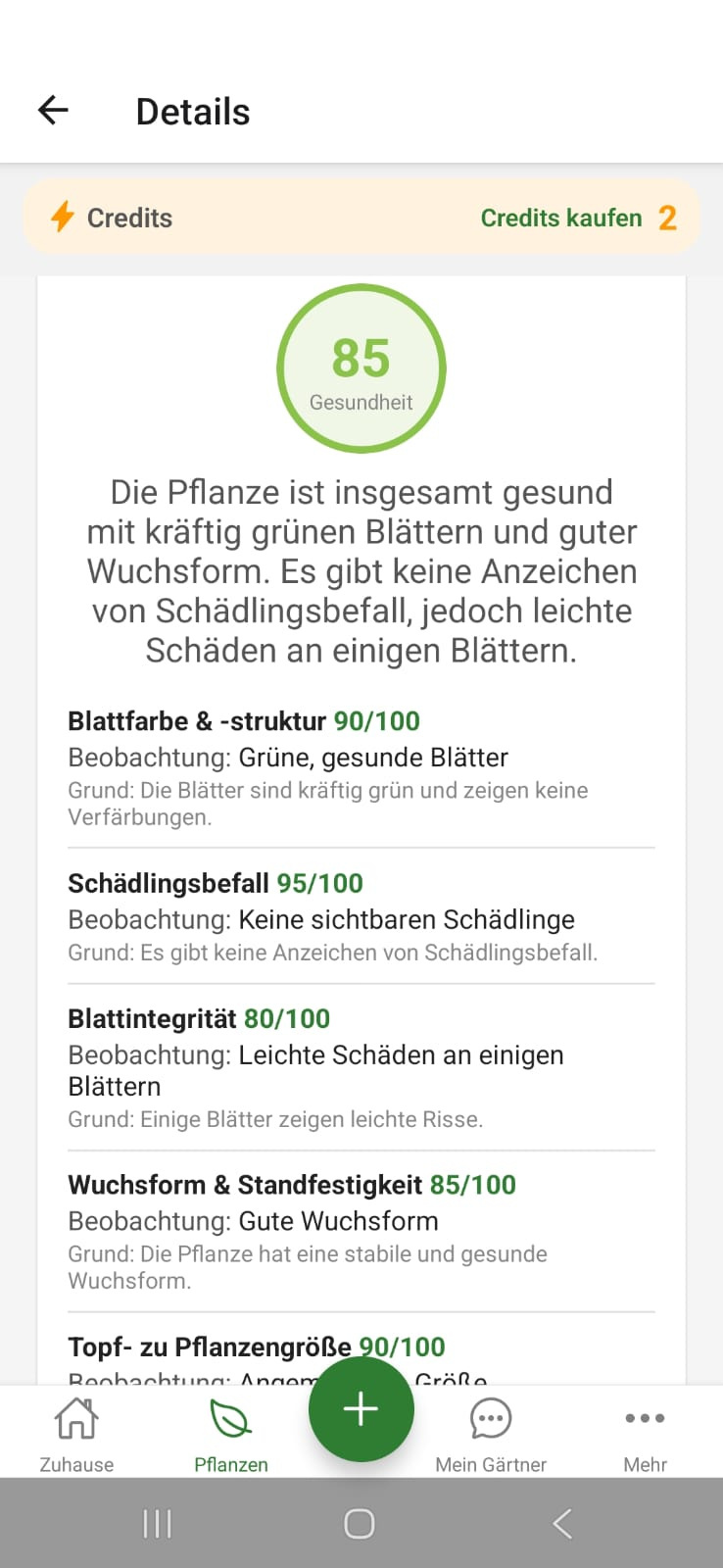 FloraScout Gesundheitscheck mit Score und Begruendung
