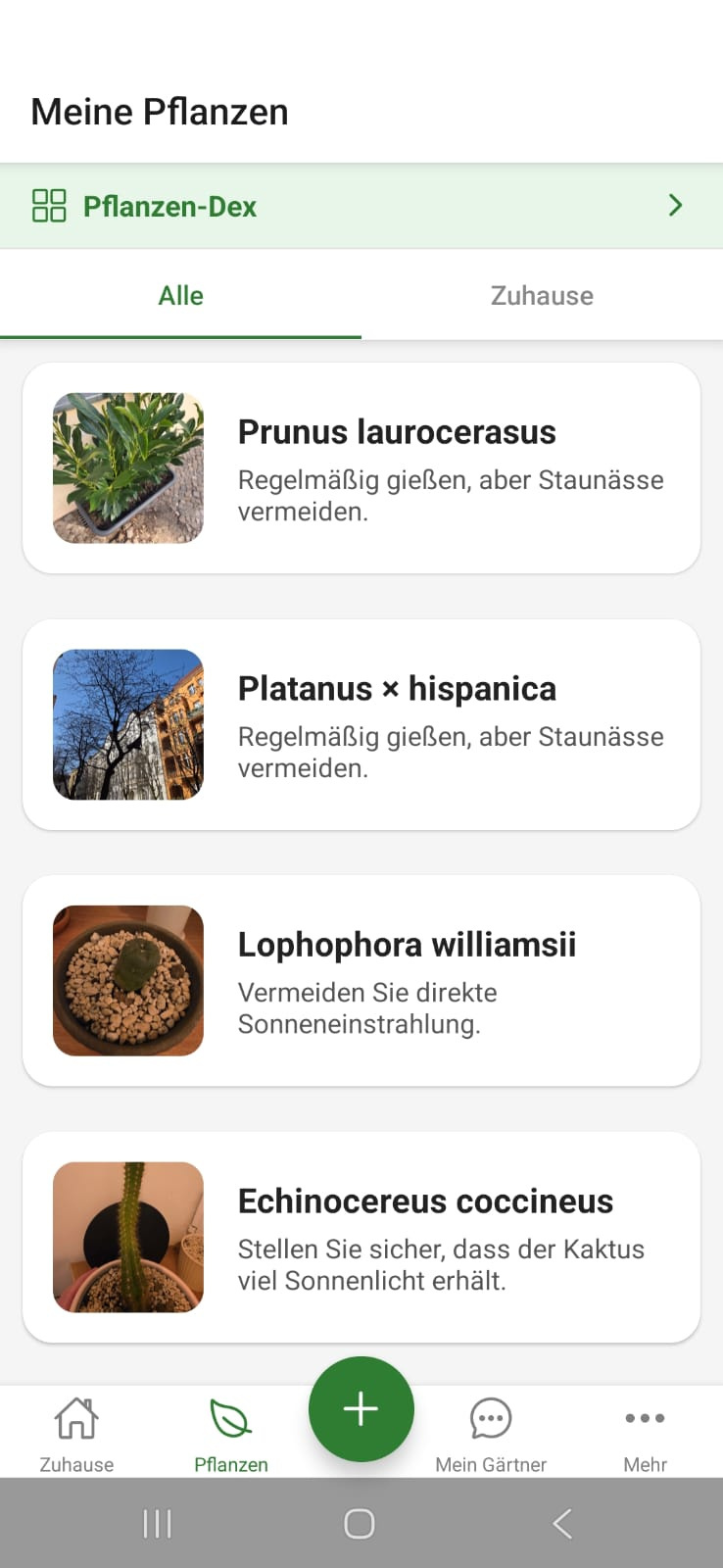 FloraScout Pflanzenuebersicht mit botanischen Namen und Pflegehinweisen